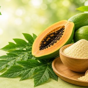How to Choose the Right Papain Enzyme Manufacturer in India