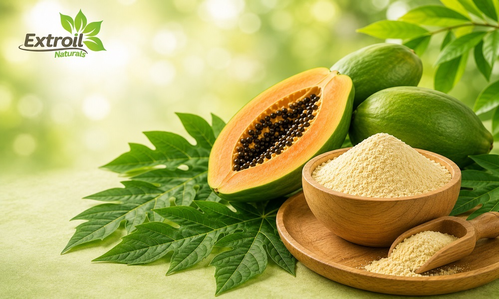 How to Choose the Right Papain Enzyme Manufacturer in India