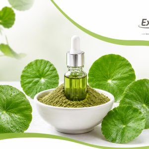 What Makes a High-Quality Centella Asiatica Extract